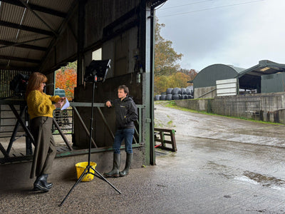 Our feature on Nationwide- The Wool Sector in Ireland