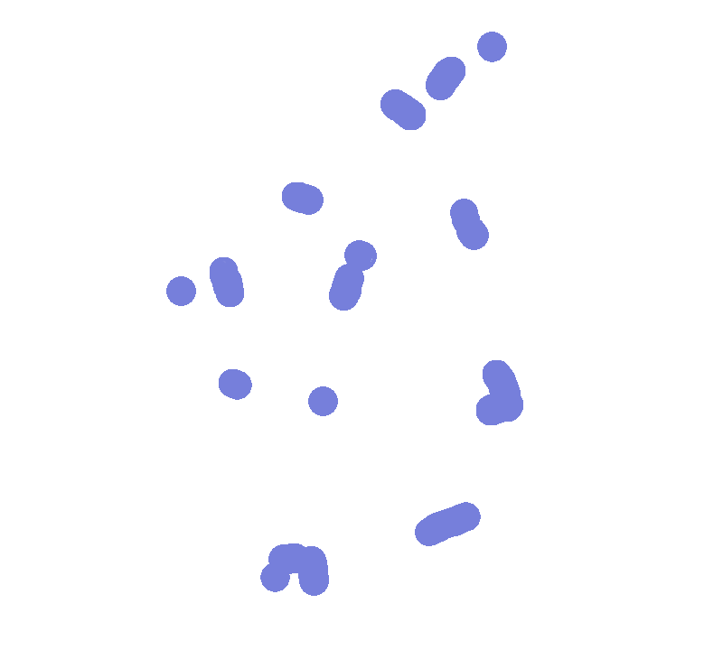 Markers on the Irish map, showing where our Bluefaced Leicester are raised