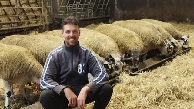 farmer tending their flock