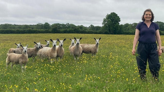 farmer tending their flock