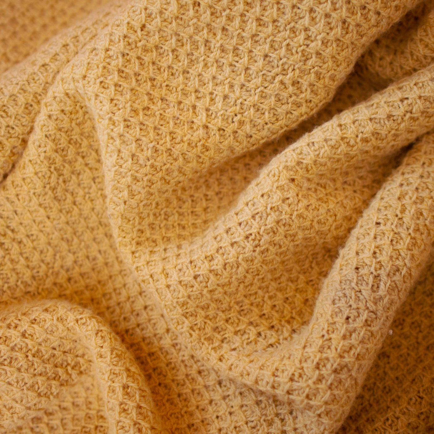 Family Blanket in Honeybee